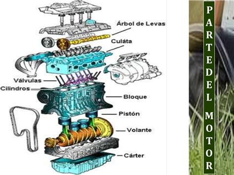 Tractor Agricolas Y Las Partes Internas Del Motor