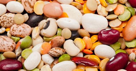 these are the 6 healthiest beans and legumes you can consume girls vibe