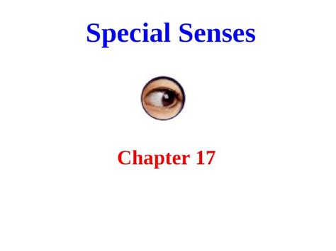 Ppt Special Senses Chapter 17 The Special Senses Smell Taste
