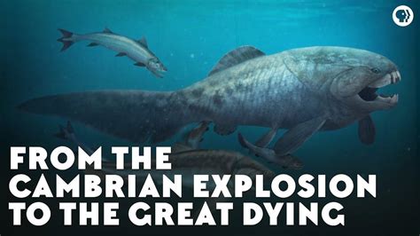 From The Cambrian Explosion To The Great Dying Eons Pbs Learningmedia