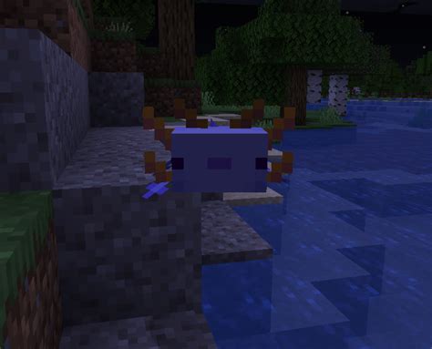 How To Spawn A Blue Axolotl In Minecraft