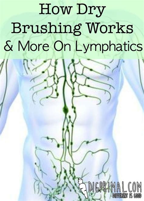 97 Best Lymphatic System Images On Pinterest Health Health Fitness