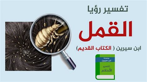 Maybe you would like to learn more about one of these? تفسير القمل في المنام لابن سيرين بشر خير أو شر ؟ - مخزن