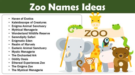 Naming Ideas For Zoo Unique Cool Cute And Funny Pet Names Vocab