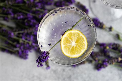 10 Heavenly Lavender Martini Recipes With Delicate Floral Flair
