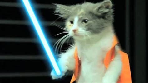 Jedi Kittens Strike Back Revenge Is A Dish Best Served