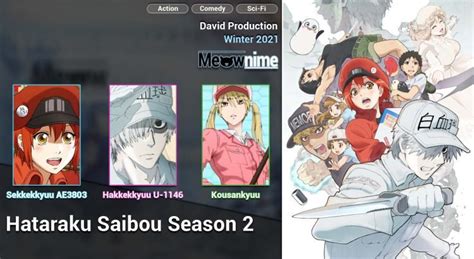 Download Anime Hataraku Saibou Season 2 Batch Sub Indo Anibatch