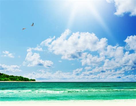 Sunny Tropical Beach On The Island Stock Image Image Of Relaxation