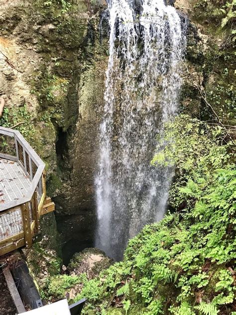 Check Out One Of The Best Waterfall Hikes In Florida