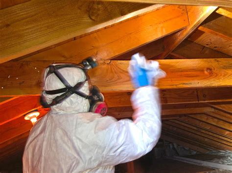 Our Mold Removal Services Previous Roof Leak Causes Mold In Attic In Allenwood Nj Now For