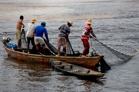 Minist Rio Libera Pesca De Esp Cies Por Mais Um Ano Portal