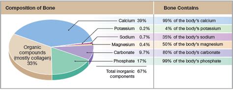 Pie Chart With Chemical Composition Of Bone As Well As The Percent Of
