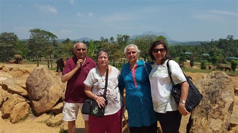 Sri Lanka Green Tours Panadura 2022 What To Know Before You Go