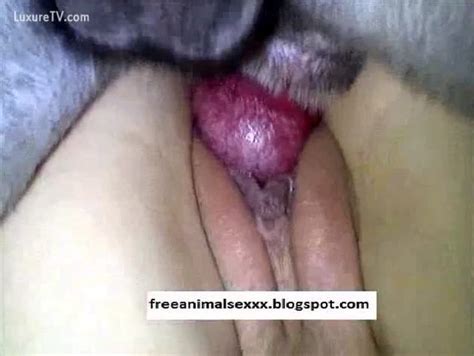 Teen Girl Had Sex With Her Black Dog Xxx Femefun