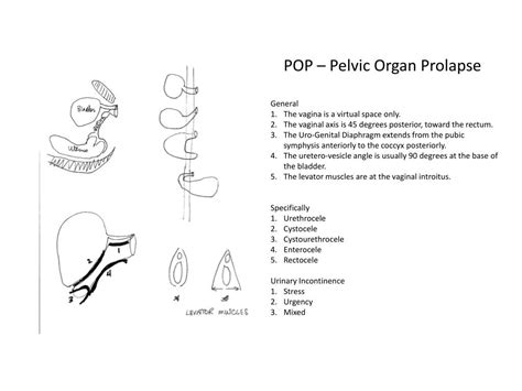 Ppt Pop Pelvic Organ Prolapse Powerpoint Presentation Free