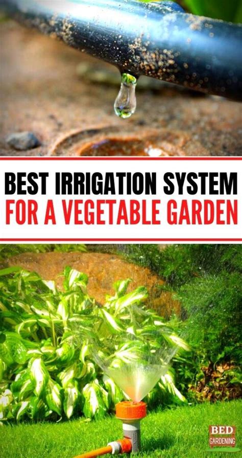 Best Irrigation System For A Vegetable Garden Bed Gardening