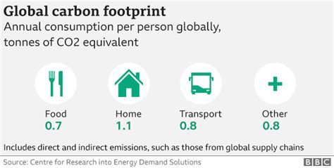 Climate Change Top 10 Tips To Reduce Carbon Footprint Revealed Bbc News