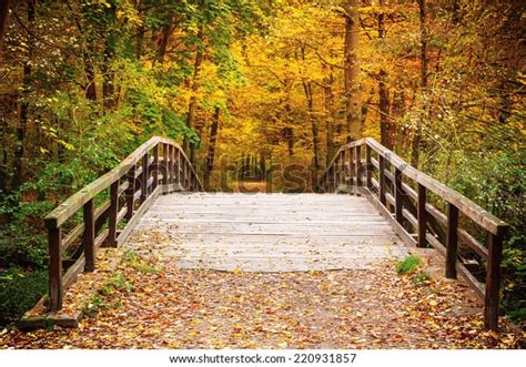 Wooden Bridge Autumn Forest Stock Photo Edit Now 220931857