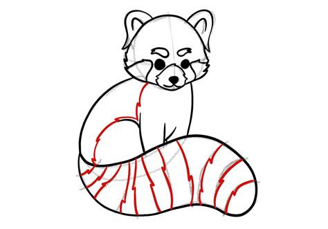 How To Draw A Cute Red Panda