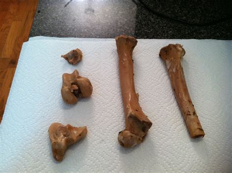 Making bone broth is very simple. Stitching Momma: Recipe: Lamb Bone Broth