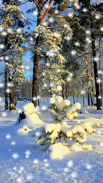 Download Animated 360x640 Winter Trees Cell Phone Wallpaper Category