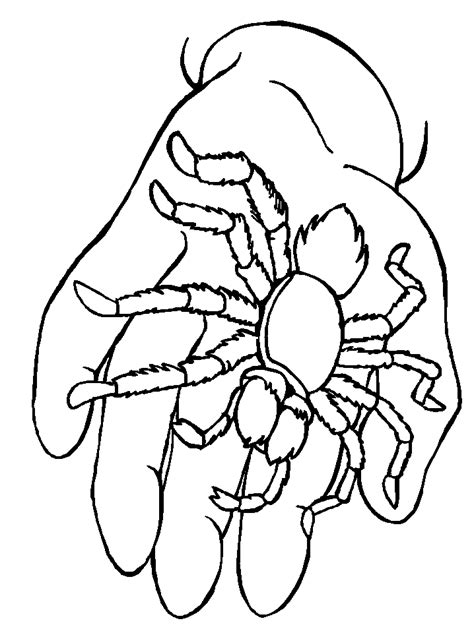 Free Printable Spider Coloring Pages For Kids