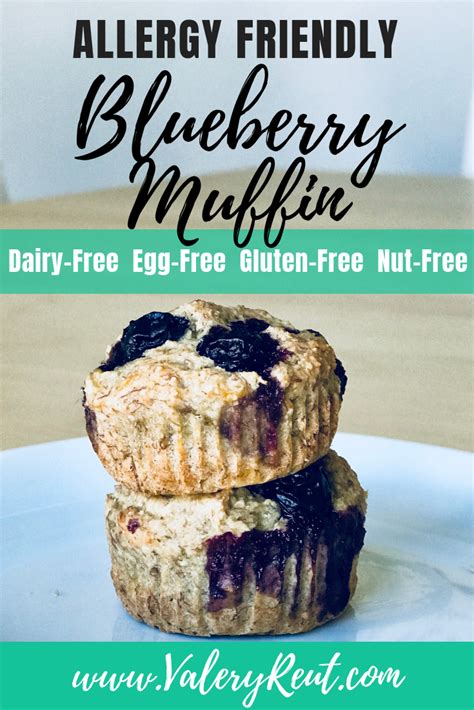 Not just because they're gluten free and egg less but because i was able to make them without the full use of. Allergy Friendly Blueberry Muffin Recipe (Dairy-Free, Egg ...