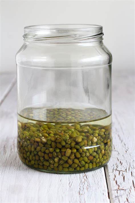 How To Sprout Mung Beans In A Jar In Only 3 Days