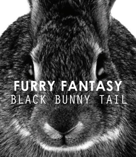 Furry Fantasy Butt Plug Black Bunny Tail Uk Health