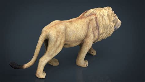Realistic Lion 3d Model In Wildlife 3dexport