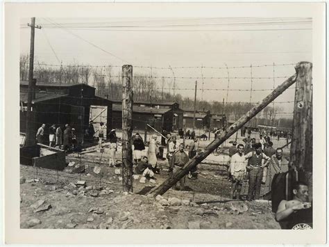 La Libération De Buchenwald Musée De Lholocauste Montréal