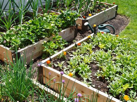 Raised Bed Gardening 101