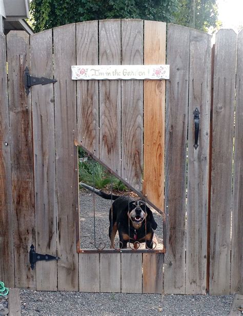 Built this wrought iron window for my dogs to be able to see out of the