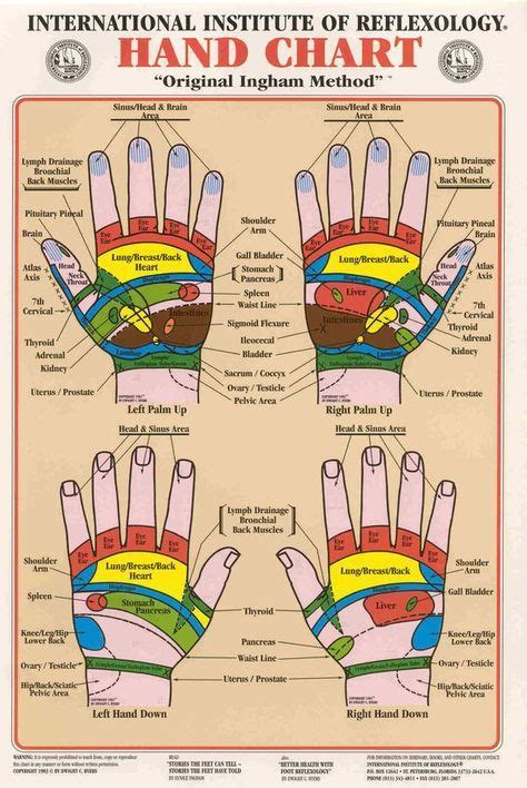 The Absolute Beginners Guide To Hand Reflexology