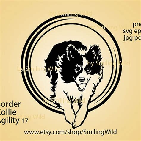 Border Collie Dog Agility Svg Clipart Vector Graphic Art Dog Etsy