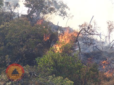 Tidak dinyana erni membalikkan badannya melepaskan sarung kumal yang melapisi tubuh mulusnya yang baru kali inilah terlihat dengan jelas, dibalik keluguan wanita desa ternyata menyimpan suatu. Hutan Desa Setianegara / 21 Tempat Wisata Kuningan Jawa ...