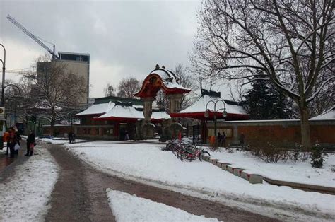 Maybe you would like to learn more about one of these? Ausflugsziel Zoologischer Garten Berlin in Berlin - DOATRIP.de