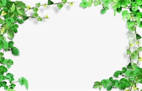 Green Leaves Frame Png Clipart Backgrounds Border Flowers Flowers