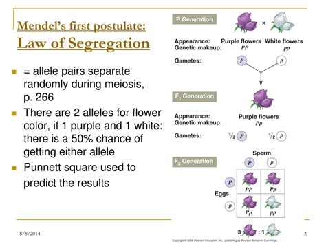 Mendel proposed the law of segregation after observing that pea plants with two different traits produced offspring that all expressed the dominant trait, but the following generation expressed the dominant and recessive traits in a 3:1 ratio. PPT - Why is Gregor Mendel the GREATEST BIOLOGIST EVER ...