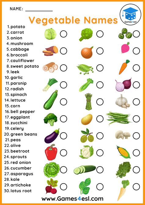 List Of Vegetables In English List Of Vegetables English Lessons For