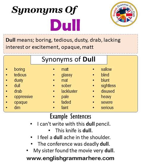 Synonyms Of Dull, Dull Synonyms Words List, Meaning and Example ...