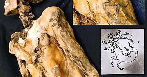 Phenomenal Level Of The Scythian Tattoo Art On The 2500 Year Old Mummy Of The “siberian Ice