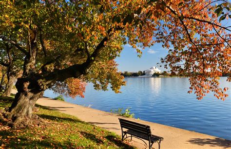 25 places around dc to take beautiful fall photos washingtonian