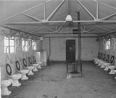 Military Life Lots Of Toilets Not Much Privacy General Hospital