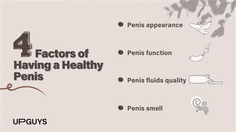 How To Know If Your Penis Is Healthy What Condition Should It Have