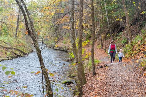 Hiking To The Spouters And Mineral Springs On The Geyser Trail In