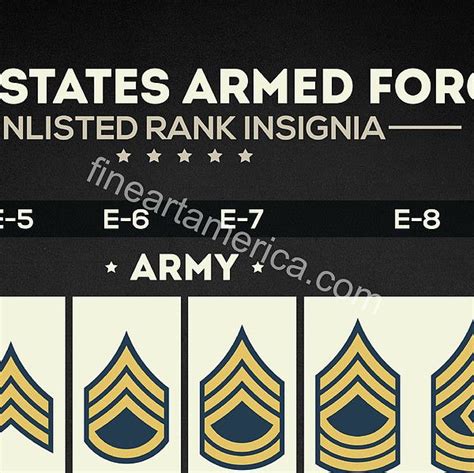 United States Armed Forces Enlisted Rank Insignia Digital Art By