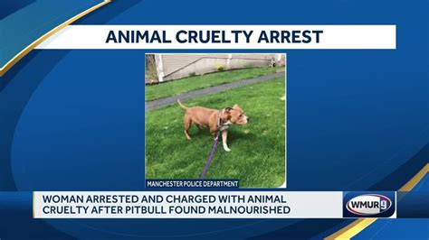 Woman Accused Of Animal Cruelty Pit Bull Has Rebounded Police Say