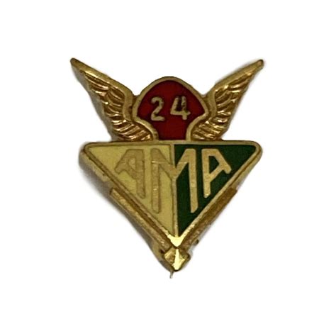 American Motorcycle Association Pins 24 Now Or Never