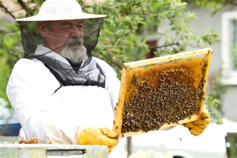 The average salary for a pest control technician is $30,878 per year in lakeland, fl. Humane Bee Removal, Lakeland, FL | Florida Bee Removal